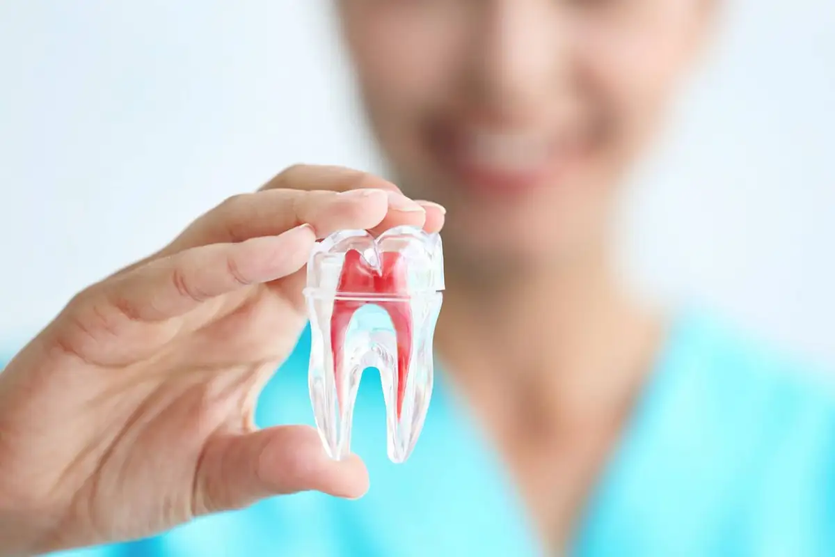 Affordable Dental Treatments in Thornhill, Ontario